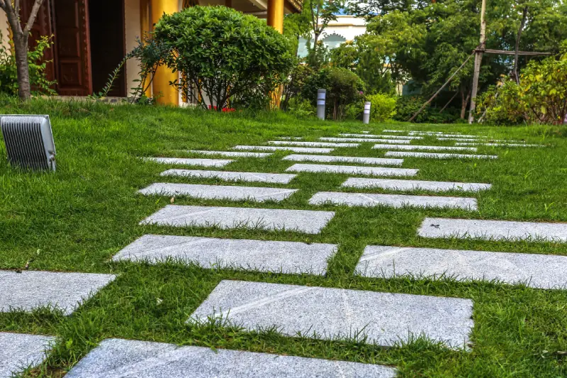 Landscape Design