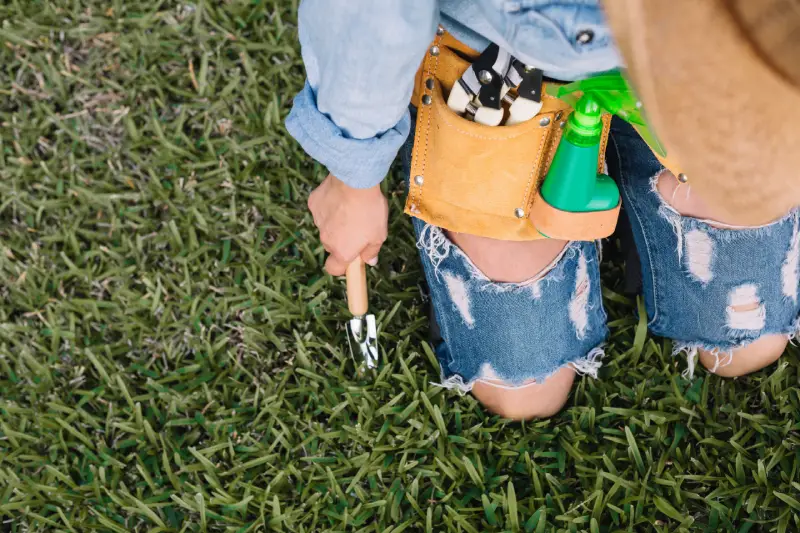 Lawn Aeration & Overseeding