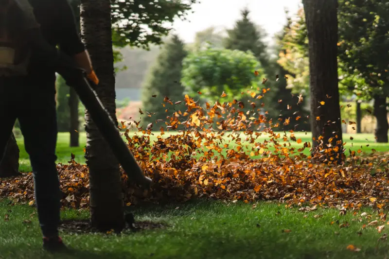 Lawn Maintenance