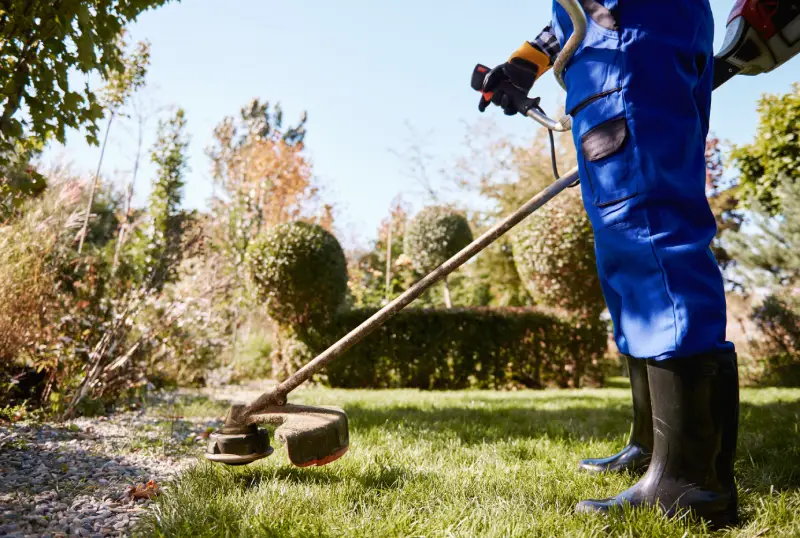Mowing & Trimming
